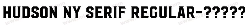 Hudson NY Serif Regular字体转换